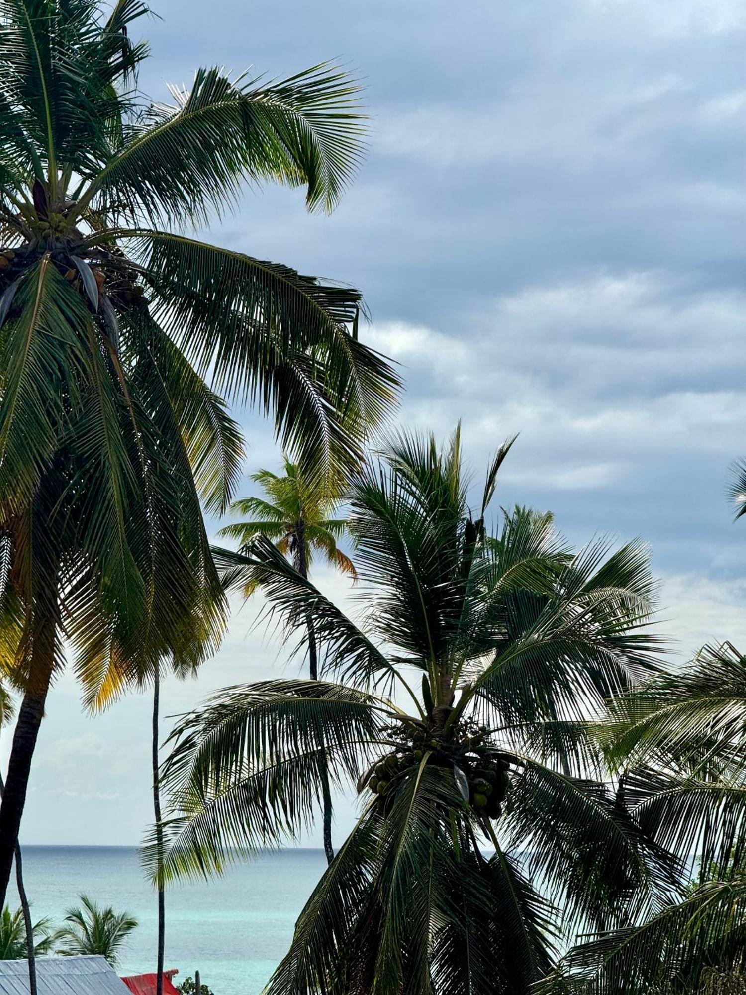 Rafiki Hotel Nungwi Beach エクステリア 写真